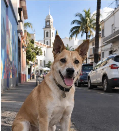 Photo de Paco